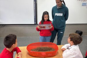 llibre viatger 2n primària florida alzira (2)