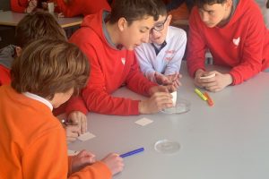 foment lector al laboratori ESO Primària Florida Alzira (1)