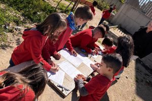 taller aire lliure primaria florida alzira (2)