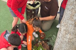 zones verdes patis alumnat primaria florida alzira (10)