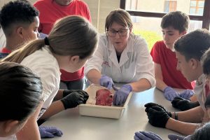 Biologia alumnat secundari fpb secundaria florida alzira (2)