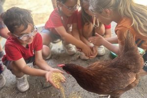 viatge aprenentatge infantil florida alzira (5)